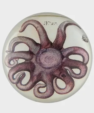 Cheap John Derian Startfish Paperweight Purple