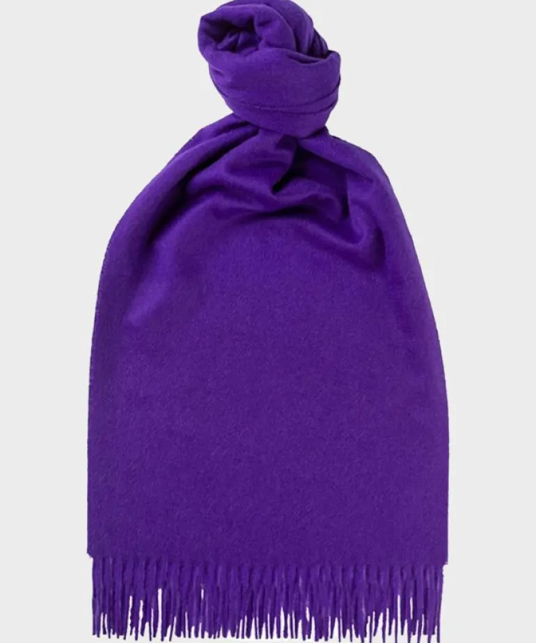 Online Todd Snyder + Joshua Ellis Todd Snyder x Joshua Ellis Classic Cashmere Scarf in Purple